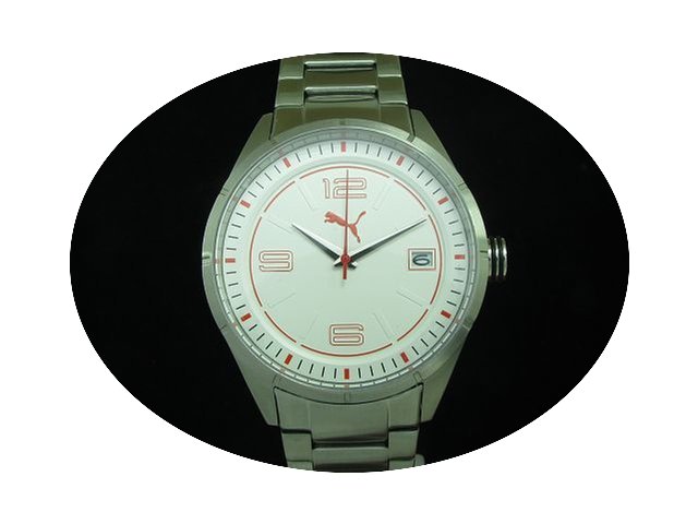 Puma Time Edelstahl Herrenuhr Mit Datum ...