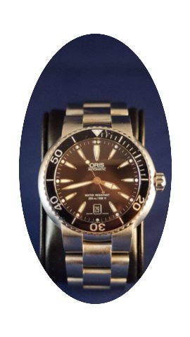 Oris TT1 Diver 42 mm automatic...