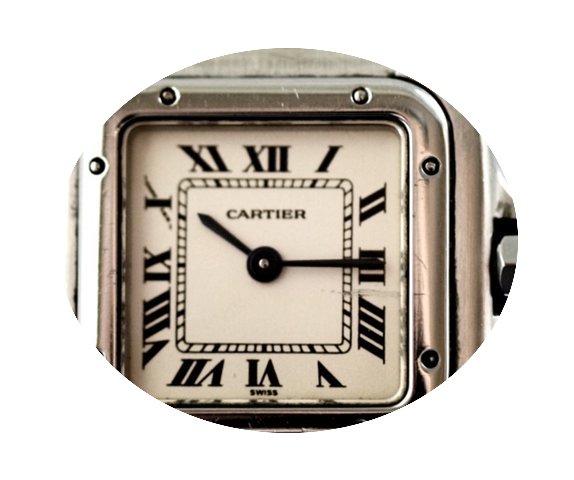 Cartier Panthere 1320...