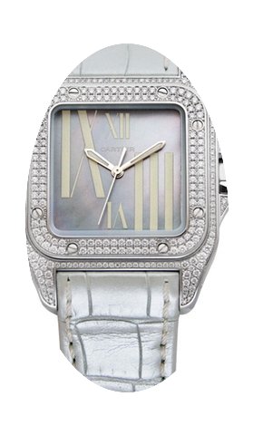Cartier Santos de Cartier...