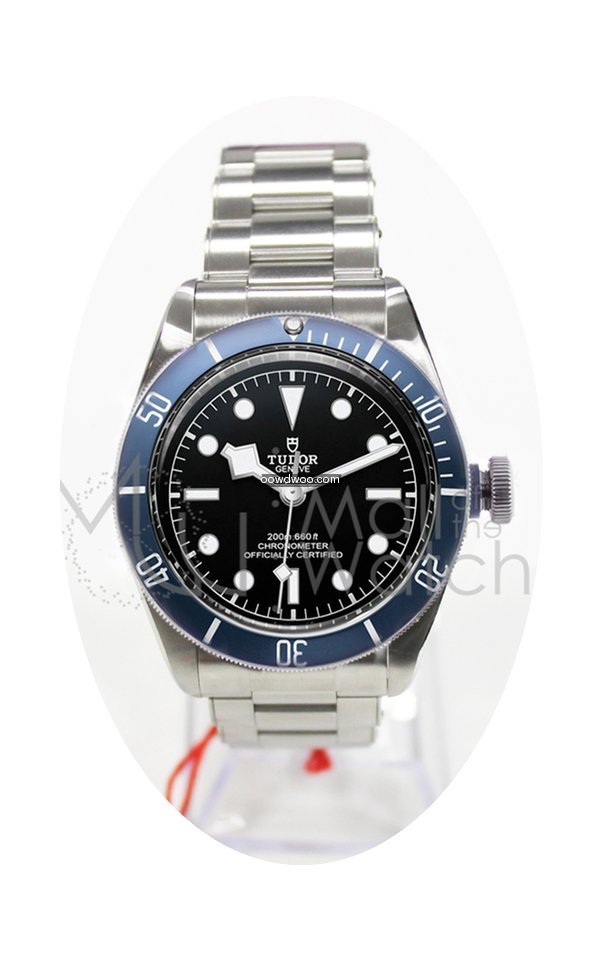 Tudor Heritage Black Bay 79230b...