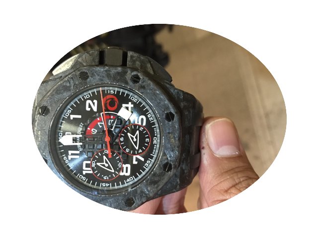 Audemars Piguet AP Team Alinghi Carbon L...