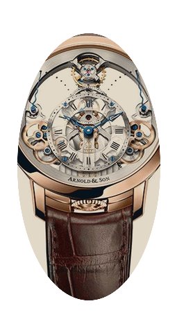 Arnold & Son Instrument Collection T...