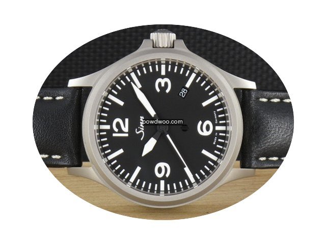 Sinn Die magnetfeldgeschützte Fliegeruh...