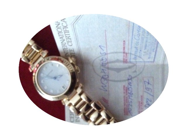 Cartier Pasha...