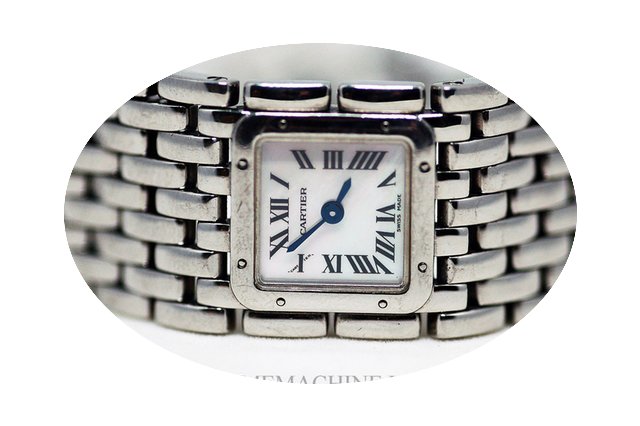 Cartier Panthere Ruban Ladies...