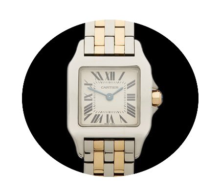 Cartier Santos Demoiselle Stainless Stee...