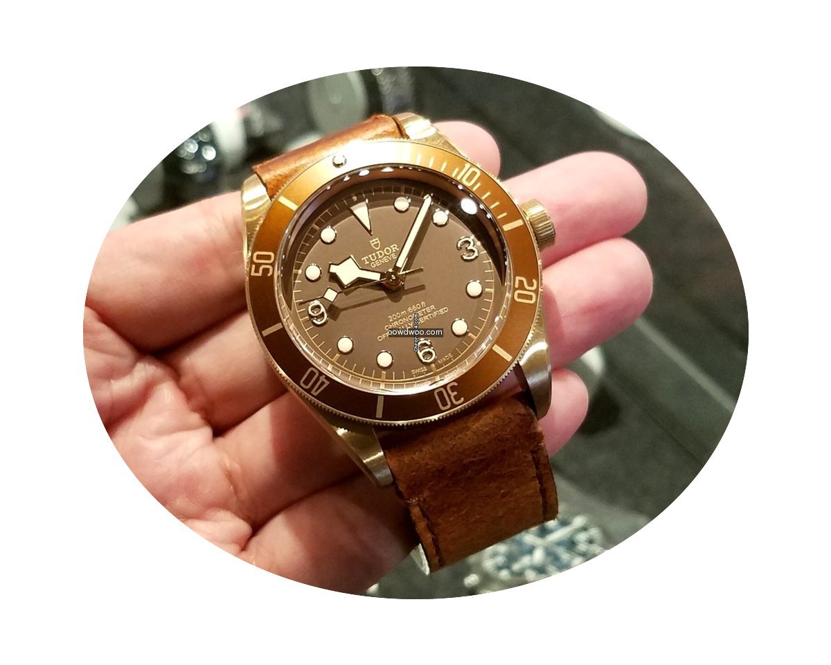 Tudor 79250BM (2016 Novelty) Heritage Bl...