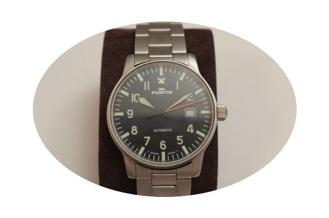 Fortis Flieger...