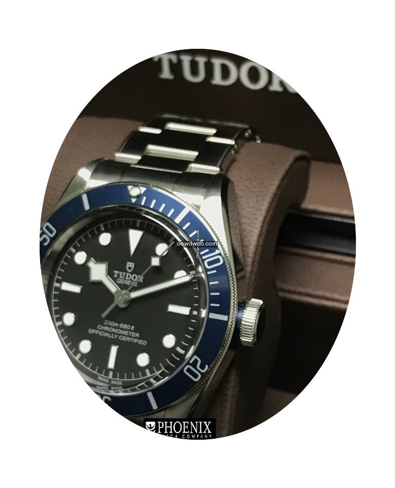 Tudor Black Bay...