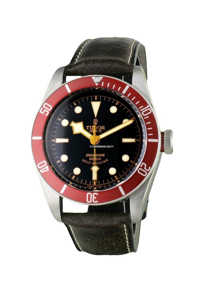 Tudor Black Bay...