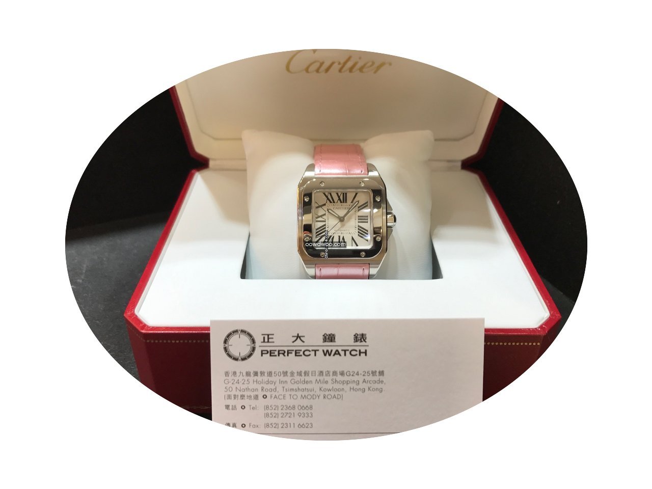 Cartier W20126X8 Santos 100...