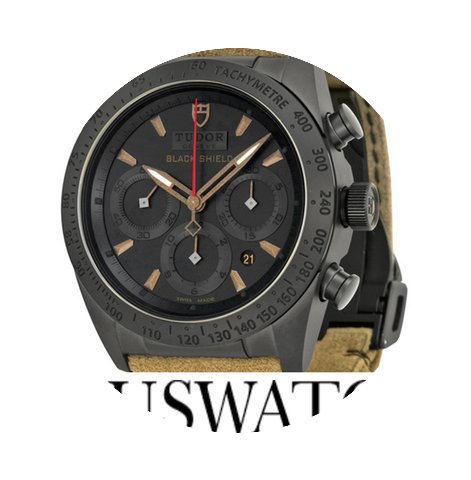 Tudor Fastrider Blackshiled T...