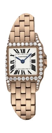 Cartier Santos de Cartier...