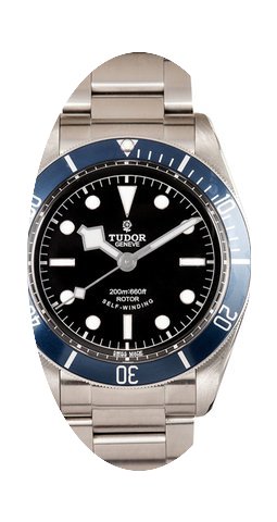 Tudor Heritage Black Bay...
