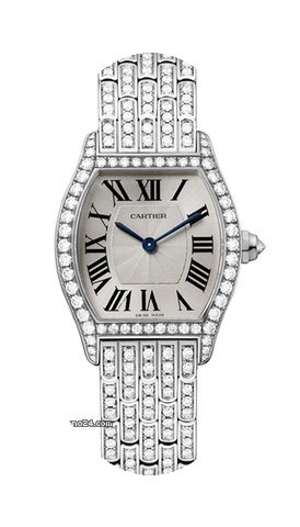 Cartier Tortue...