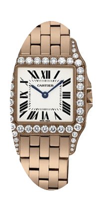 Cartier Santos de Cartier...