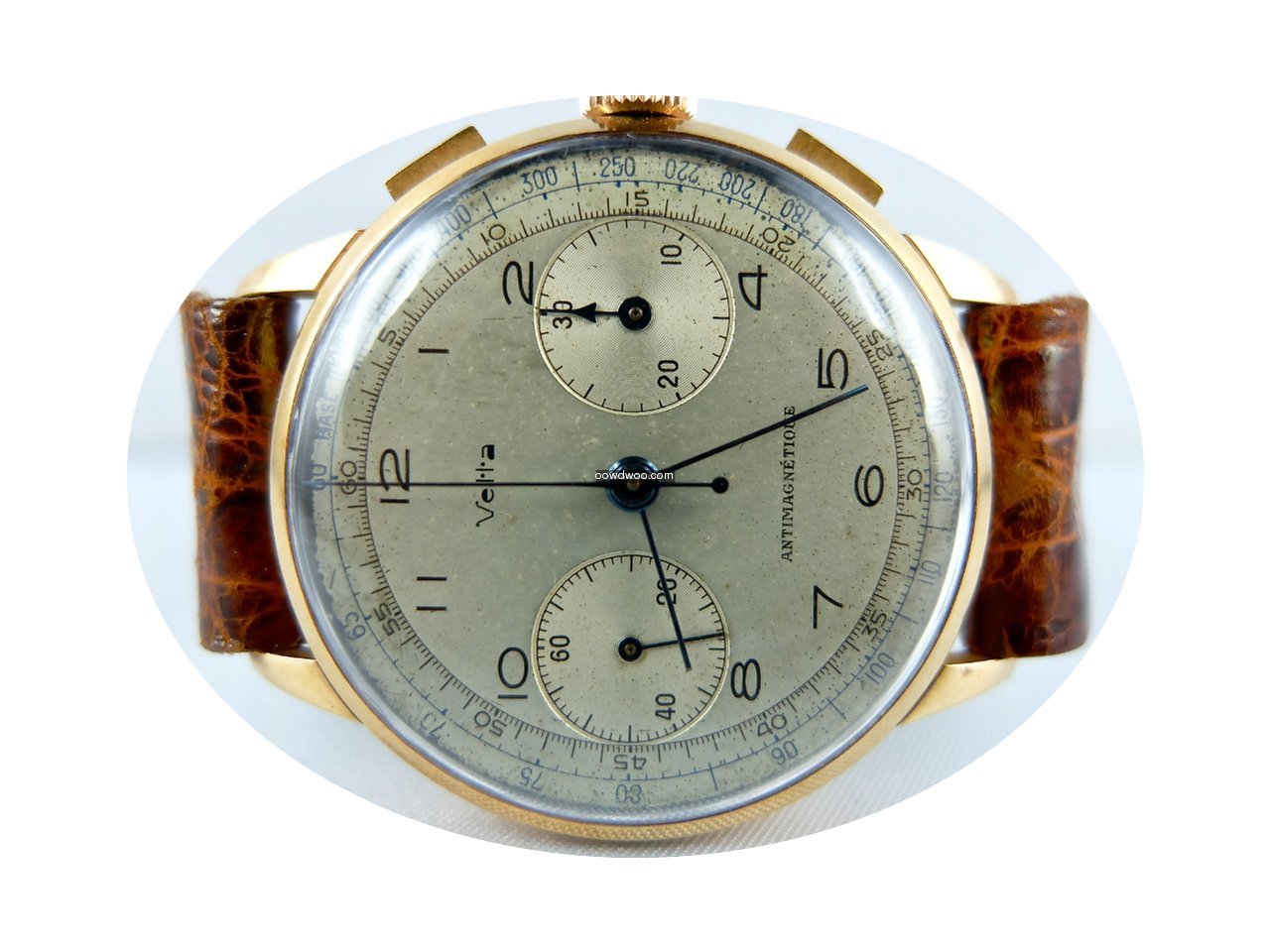 Wyler Vetta Chronograph gold...