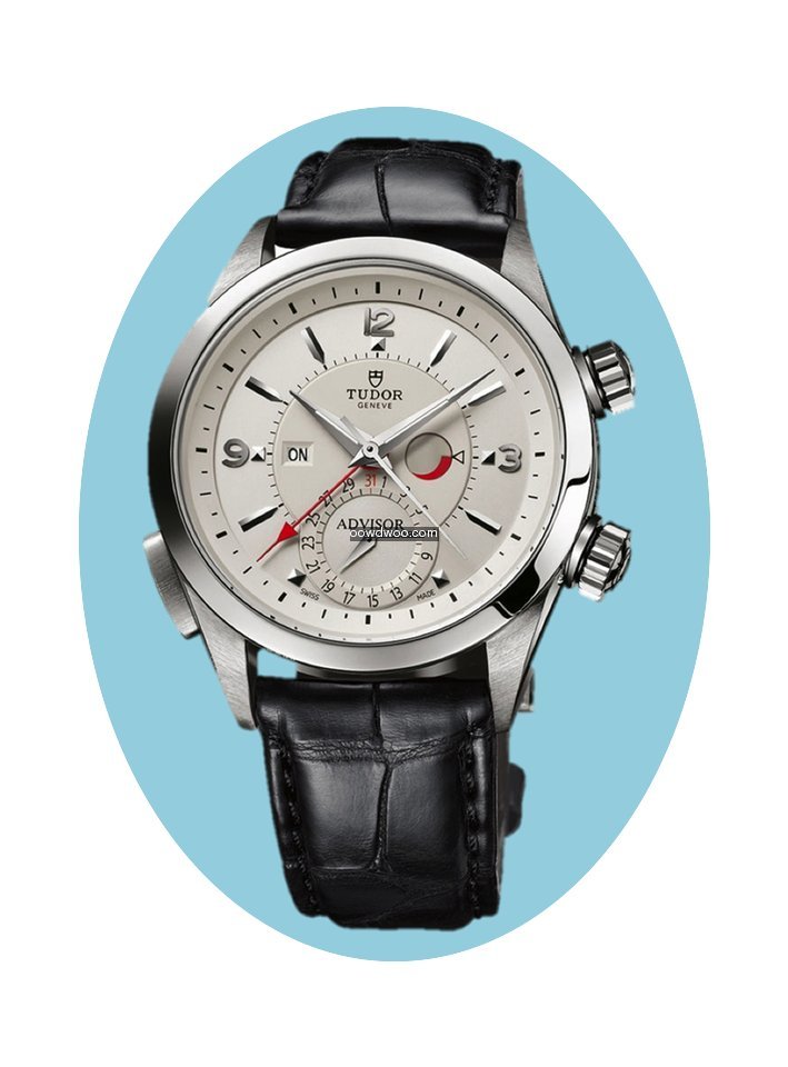 Tudor Heritage Advisor Silber Index Alli...