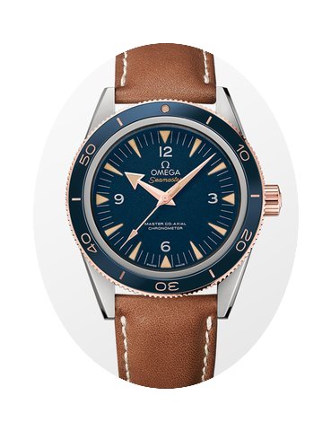 Omega Seamaster 300 Omega Master Co-Axia...