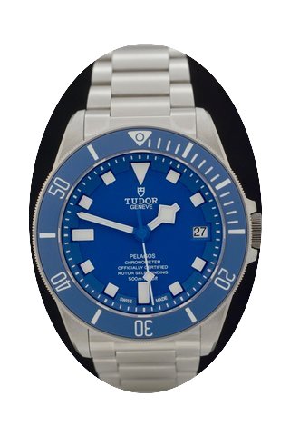 Tudor Pelagos Ref.: 25600tb - Titan - Fu...