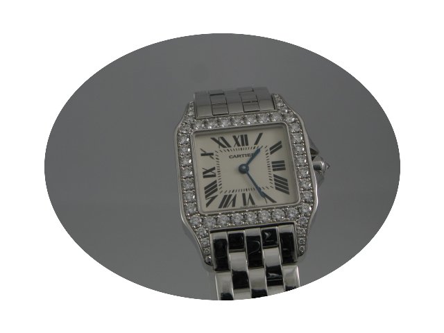 Cartier SANTOS DEMOISELLE...