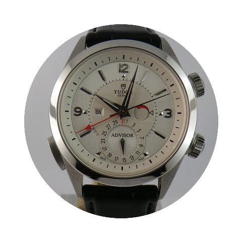 Tudor Advisor...