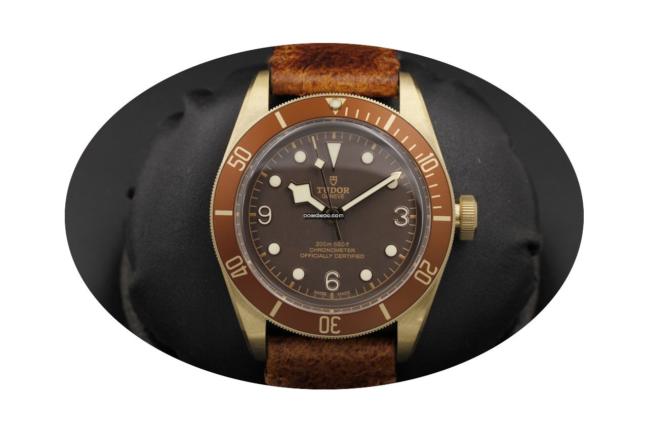 Tudor Heritage Black Bay 79280bm Bronze...