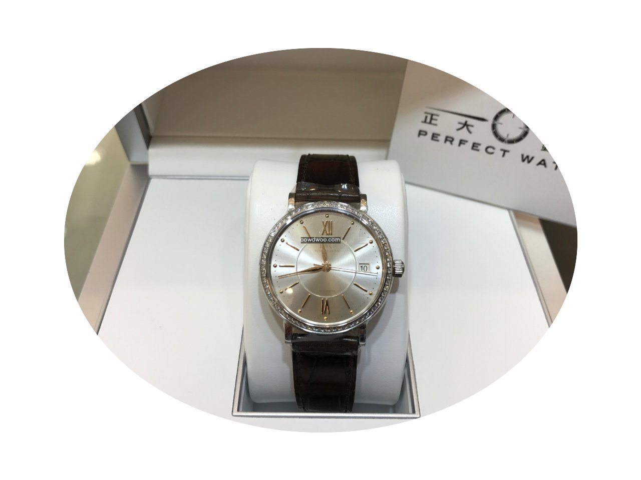 IWC IW458103 Portofino 37mm...
