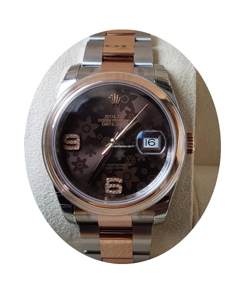Rolex Datejust Roségold Choco Diamond N...