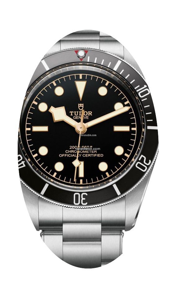Tudor Heritage Black Bay Steel To Steel ...