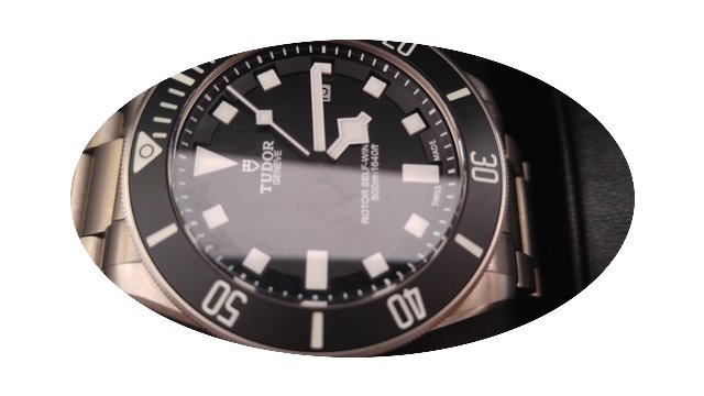 Tudor Pelagos...
