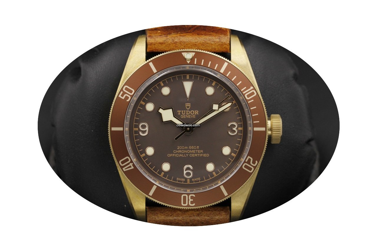 Tudor Heritage Black Bay 79250bm Bronze...