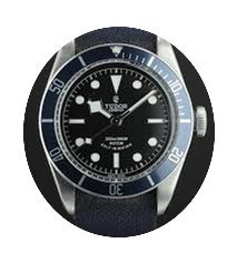 Tudor Black Bay Heritage...