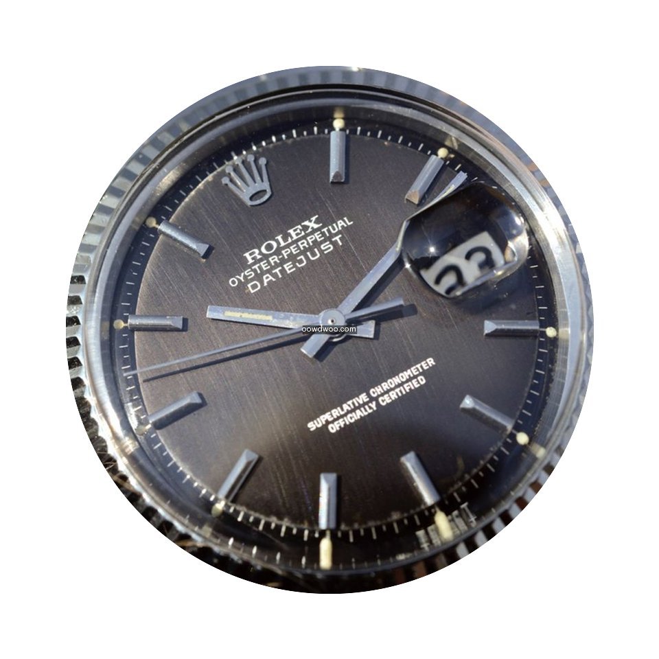 Rolex Black Gilt Vertical Brush Tropical...