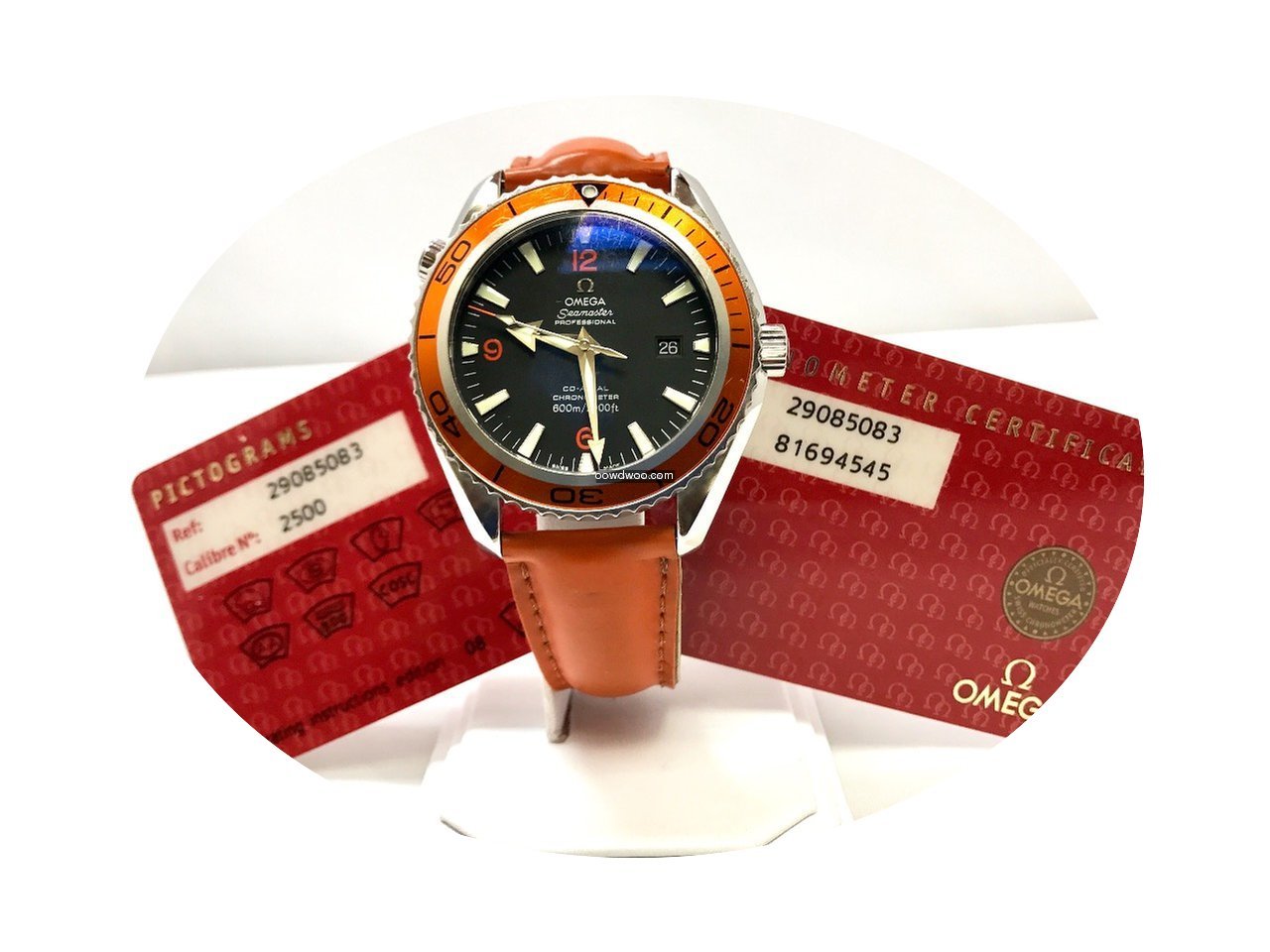 Omega Seamaster Planet Ocean...