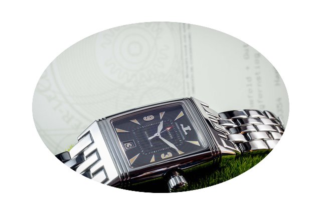 Jaeger-LeCoultre Reverso Gran Sport...