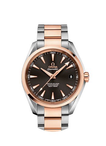 Omega SEAMASTER AQUA TERRA 150 M MASTER ...