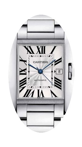 Cartier W5310009...