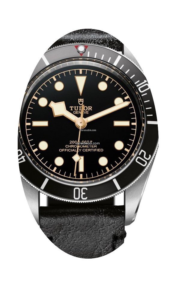 Tudor Heritage Black Bay - 79230n...