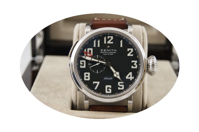Zenith Pilot Aeronef Typ20...