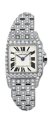 Cartier Santos de Cartier...