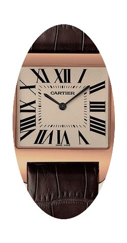 Cartier Santos de Cartier Santos-Dumont ...