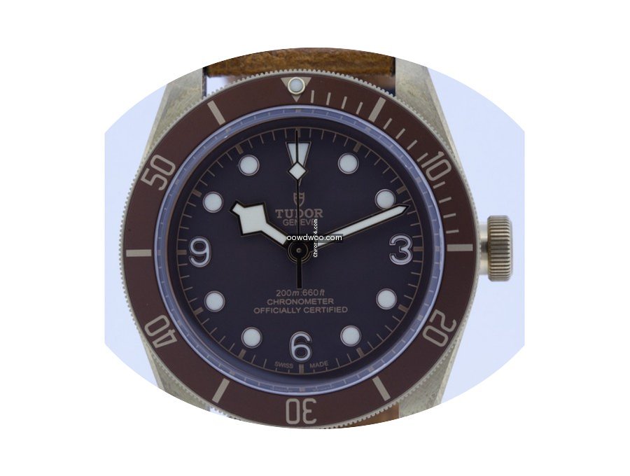 Tudor Heritage Black Bay 79250BM never w...