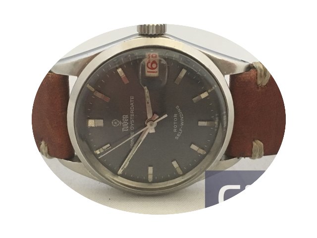 Tudor Oysterdate rosellina...