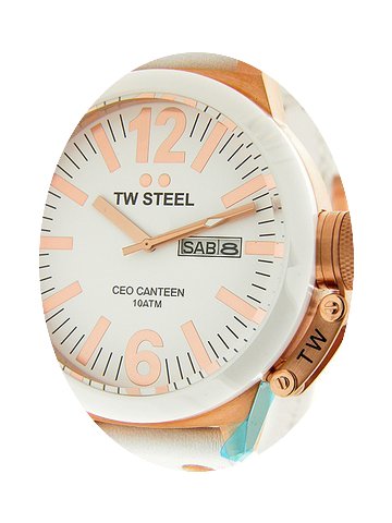 TW Steel CEO Canteen CE1036...