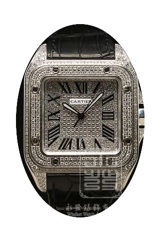 Cartier W20073X8...