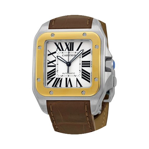 Cartier Santos de Cartier...