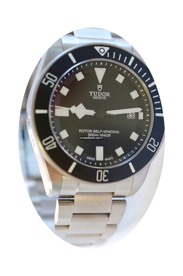 Tudor Pelagos...