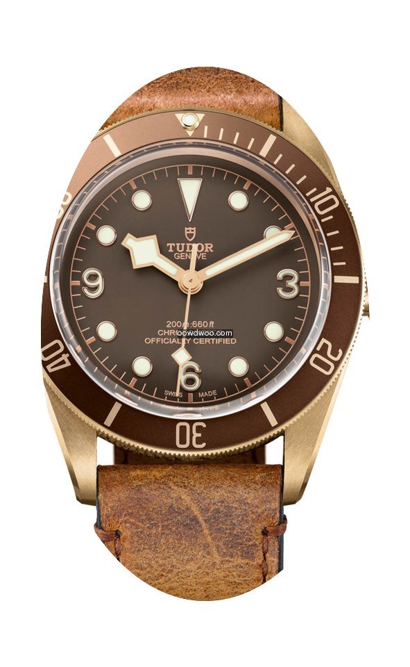 Tudor Heritage Black Bay...
